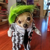 Entry image for Timmmmaaaay