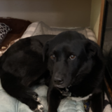 Entry image for Bryce