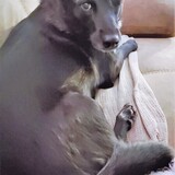 Entry image for Peek a boo