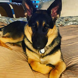 Entry image for Athena