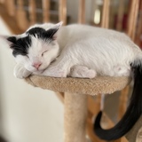 Entry image for Salt