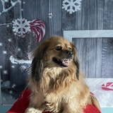 Entry image for Zoey