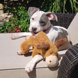 Entry image for Naledi