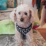 Entry image for Cooper Coffey