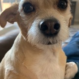 Entry image for Rudy 