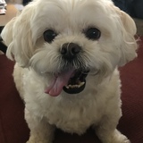 Entry image for Charlie