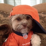 Entry image for Herbie