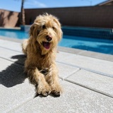 Entry image for Junior 