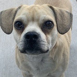 Entry image for Pono Dunston 