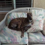 Entry image for Blinx