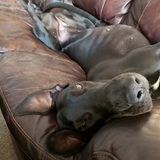 Entry image for Harriett 