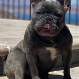 Entry image for Newman