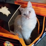 Entry image for Rengoku