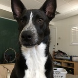 Entry image for Chew Ellen