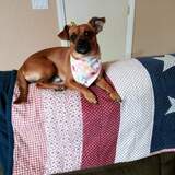 Entry image for Mr Buttons 