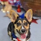 Entry image for Kodi