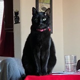 Entry image for Jetson