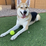 Entry image for Tipper