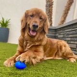 Entry image for Agatha “Aggie” 