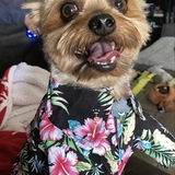 Entry image for Harry