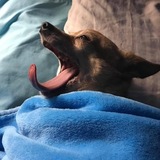 Entry image for Pocket