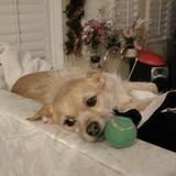 Entry image for Baby Girl