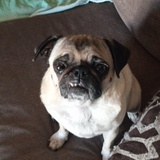 Entry image for Nessa