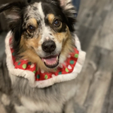 Entry image for Runik