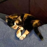 Entry image for Dr Feinberg