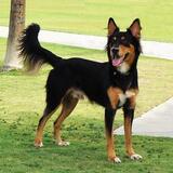 Entry image for Arby