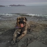 Entry image for Wylie