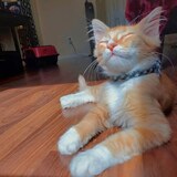 Entry image for Lars