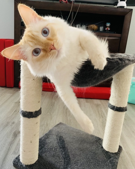 Entry image for Cash . Clicking this image will show a larger photo