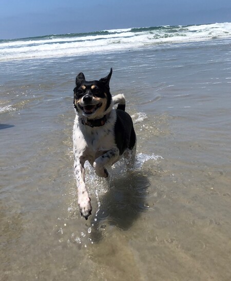 Entry image for Beatrice. Clicking this image will show a larger photo