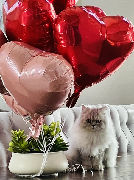 Entry image for Sunshine . Clicking this image will show a larger photo