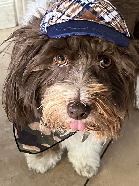 Entry image for Tim. Clicking this image will show a larger photo