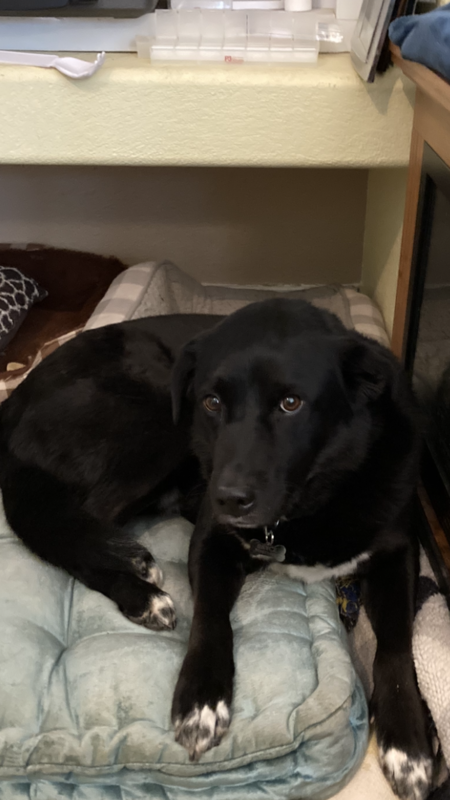 Entry image for Bryce. Clicking this image will show a larger photo