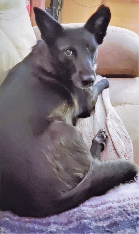 Entry image for Peek a boo. Clicking this image will show a larger photo