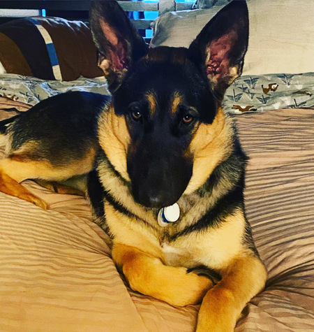 Entry image for Athena. Clicking this image will show a larger photo