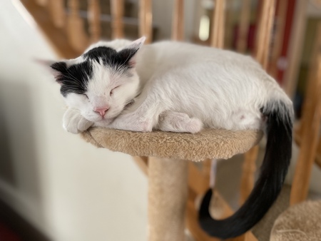 Entry image for Salt. Clicking this image will show a larger photo