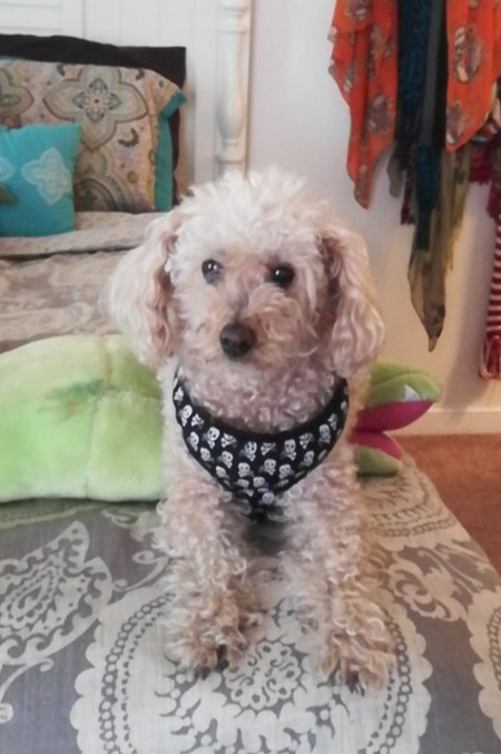 Entry image for Cooper Coffey. Clicking this image will show a larger photo