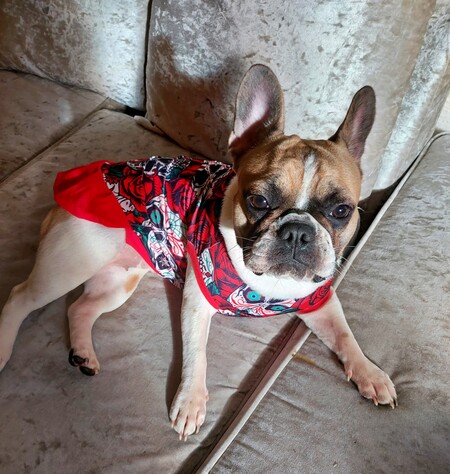 Entry image for Gigi Valentine . Clicking this image will show a larger photo