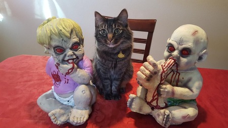 Entry image for Boris . Clicking this image will show a larger photo