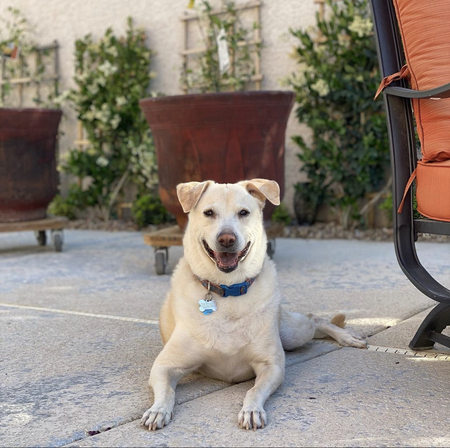 Entry image for George Jones. Clicking this image will show a larger photo