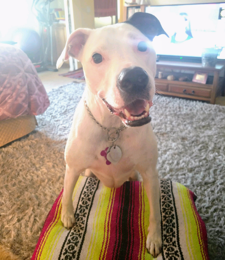 Entry image for Tasha. Clicking this image will show a larger photo