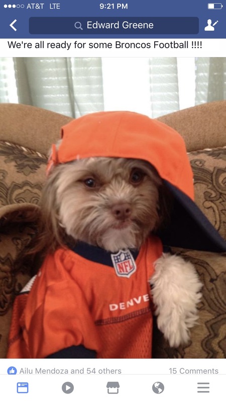 Entry image for Herbie. Clicking this image will show a larger photo