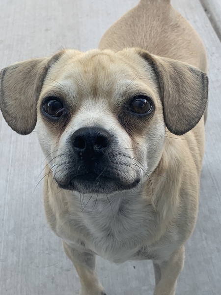 Entry image for Pono Dunston . Clicking this image will show a larger photo