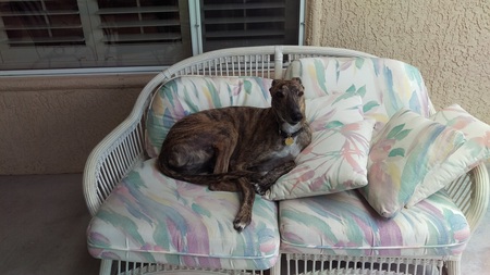 Entry image for Blinx. Clicking this image will show a larger photo