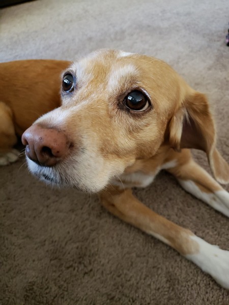 Entry image for Sophie. Clicking this image will show a larger photo