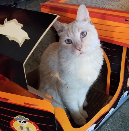 Entry image for Rengoku. Clicking this image will show a larger photo